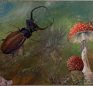 Darstellung einer Scene im Unterholz mit Käfer und Pilzen